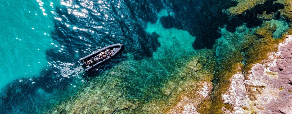 Excursion en bateau vers les calanques de l'Estérel au départ de Cannes
