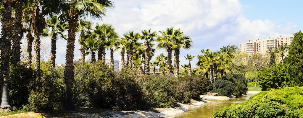 Valencia park Segway™ tour