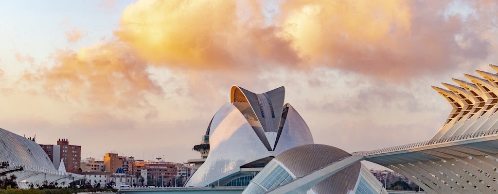 City of Arts and Sciences Segway™ tour in Valencia