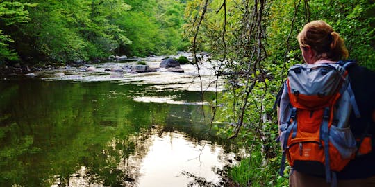 Private guided waterfall hike in the Smoky mountains