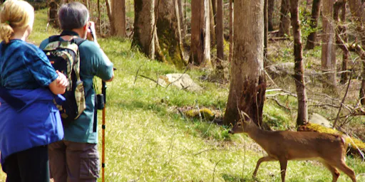 peek-i3IluSaKTGyBZZF0eLHO