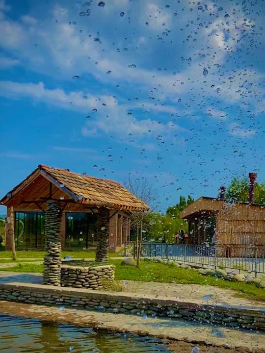 Esperienza di pesca, grigliate ed equitazione