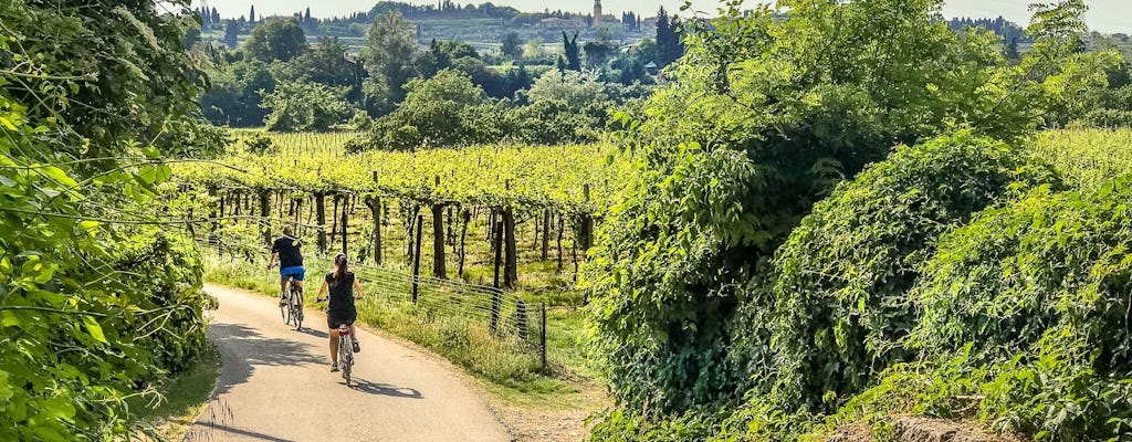 Bike photo tour though the Valpolicella wineyards