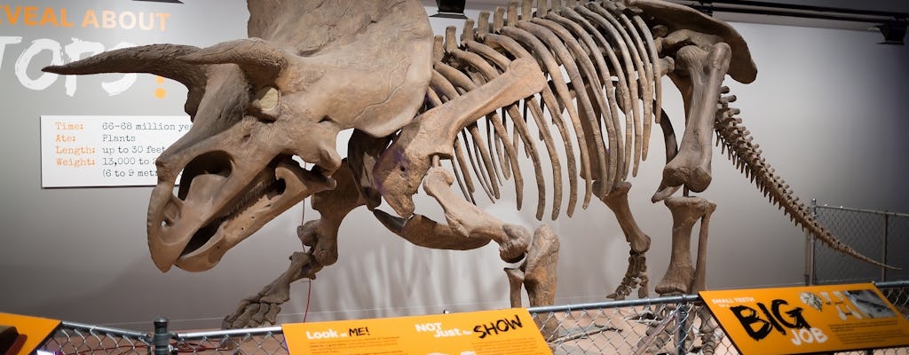 NYC American Museum of Natural History family private tour