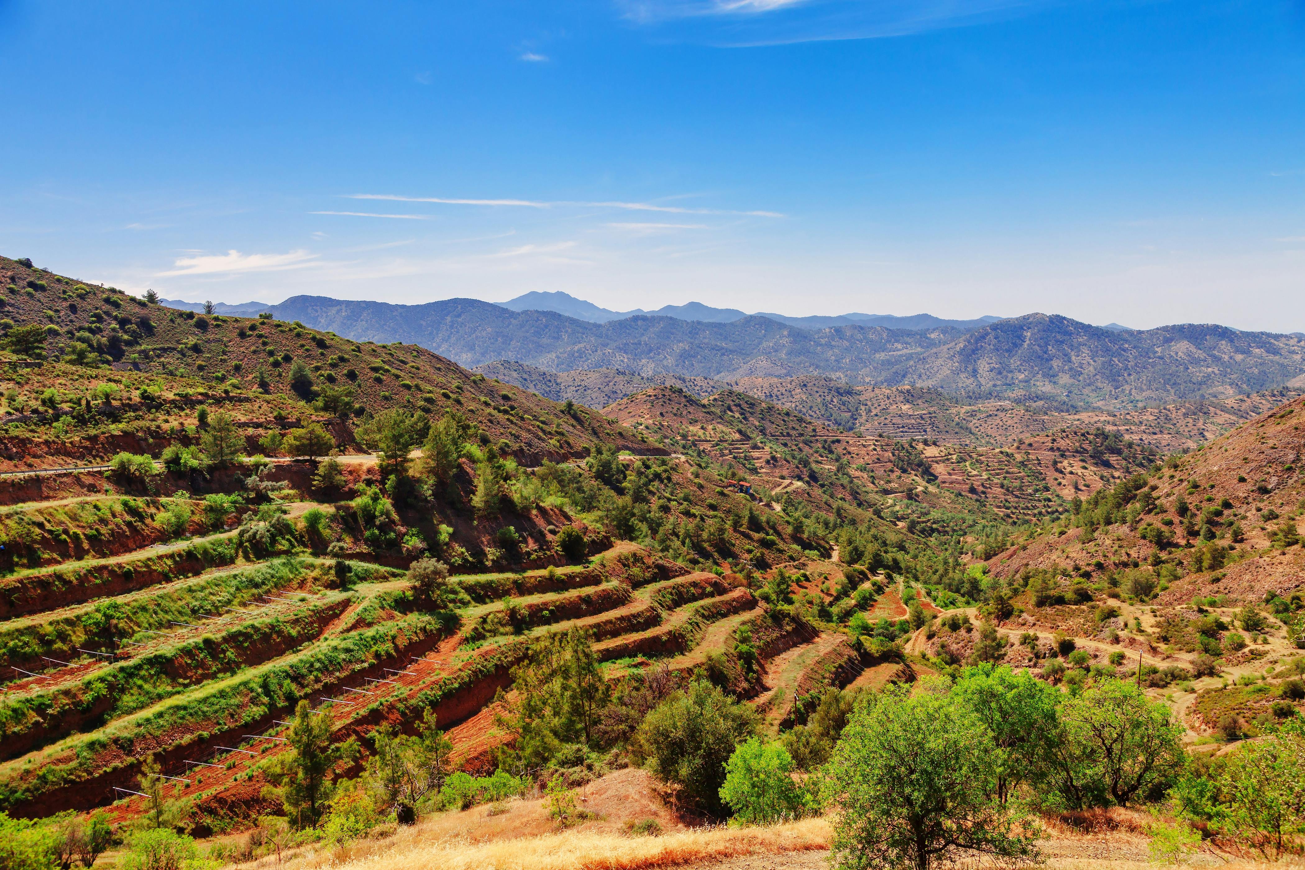 Winery tour in Troodos mountain village with wine tasting