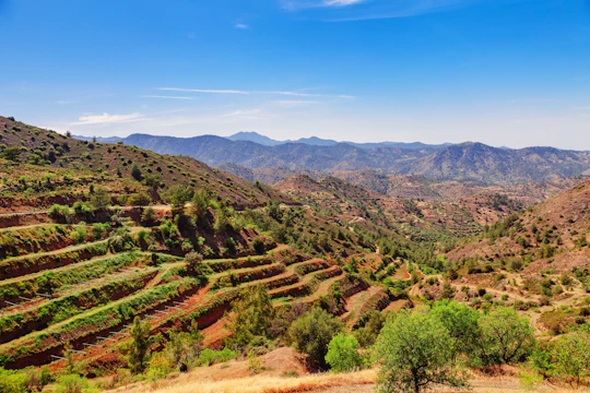 Winery tour in Troodos mountain village with wine tasting