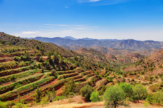 Wijnmakerijtour in het Troodos-bergdorp met wijnproeverij