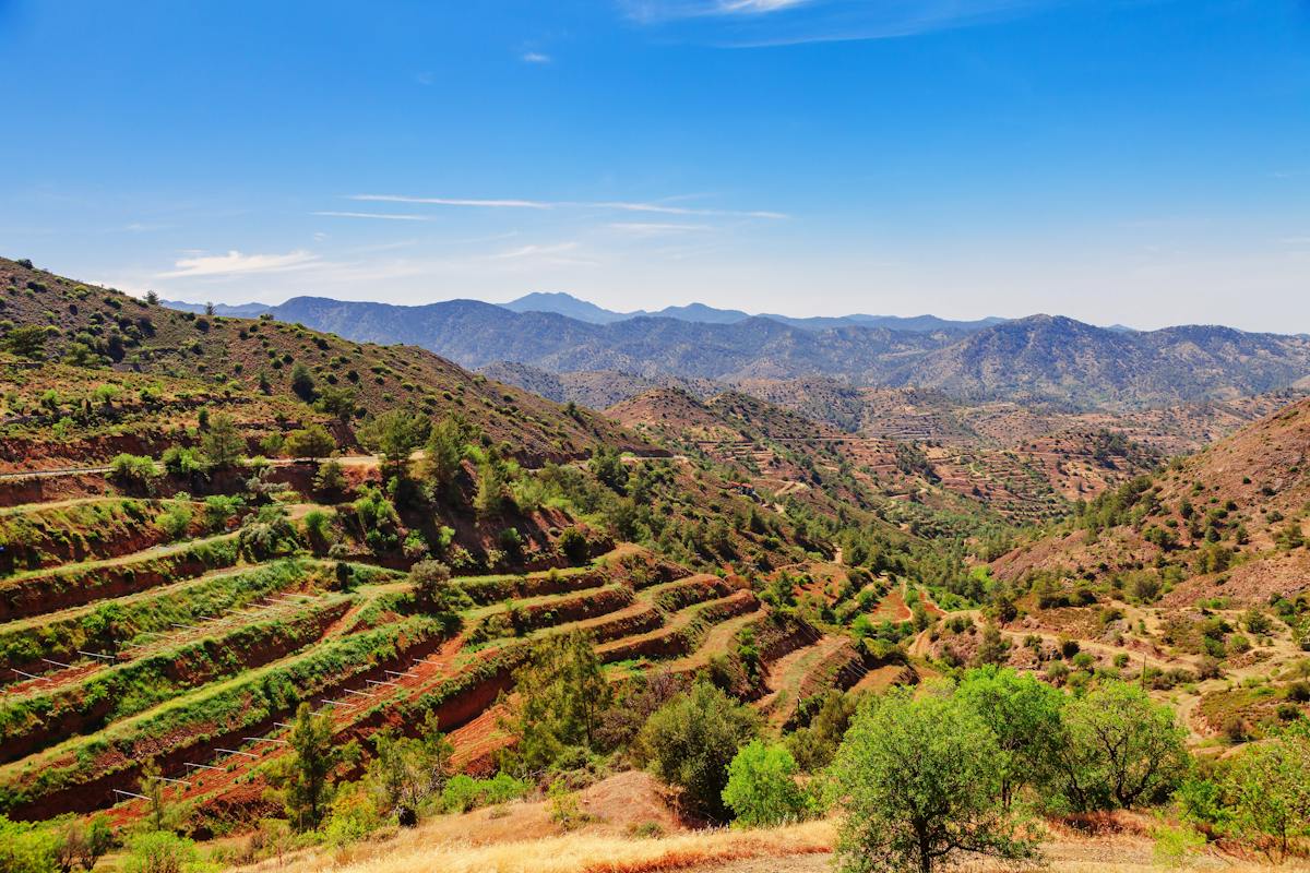 Wijnmakerijtour in het Troodos-bergdorp met wijnproeverij