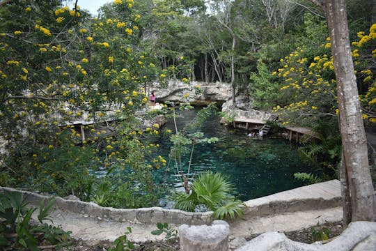 Cenotes Casa Tortuga Tulum from Tulum or Playa del Carmen