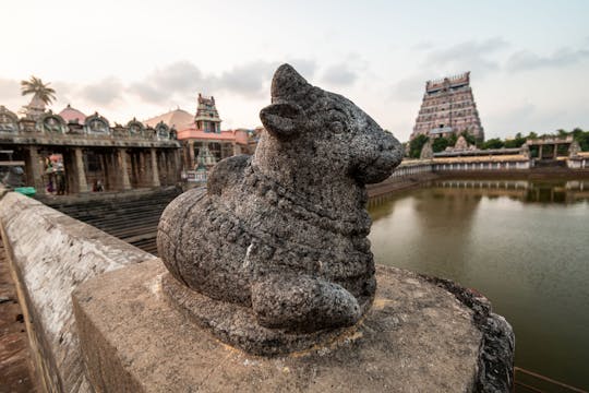 Uno scorcio del tour a piedi del Bengaluru meridionale
