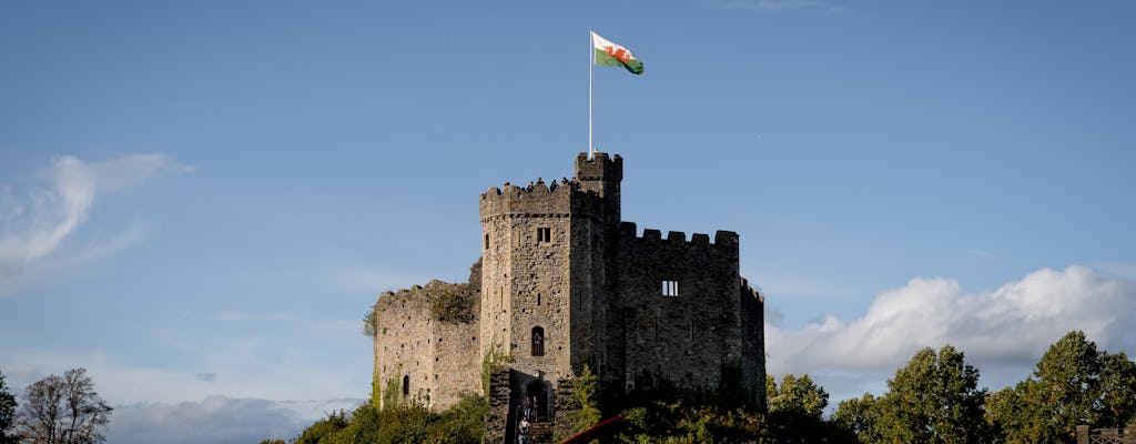 Privéwandeling op maat door Cardiff