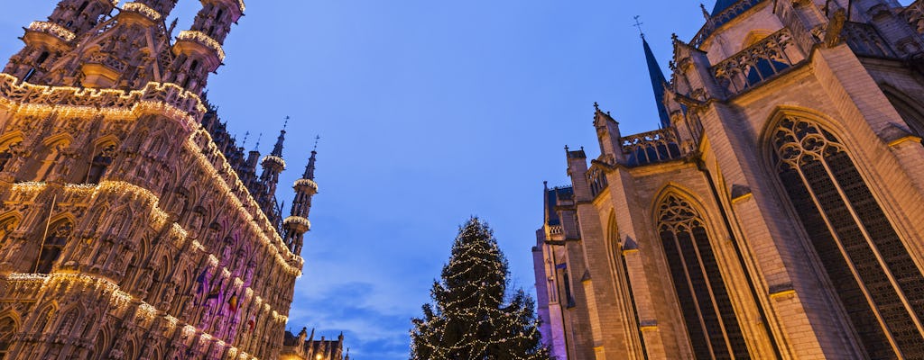 Magic Christmas tour in Leuven