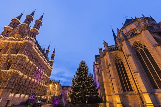 Magiczna świąteczna wycieczka po Leuven