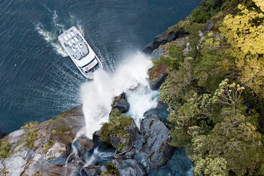 Cruzeiro pela natureza em Milford Sound
