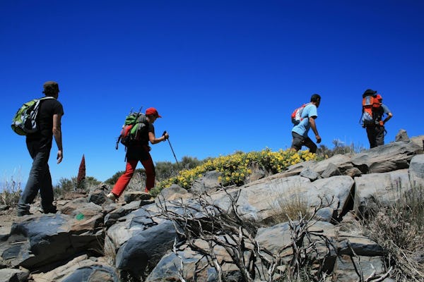 Caminhada fácil no Monte Teide