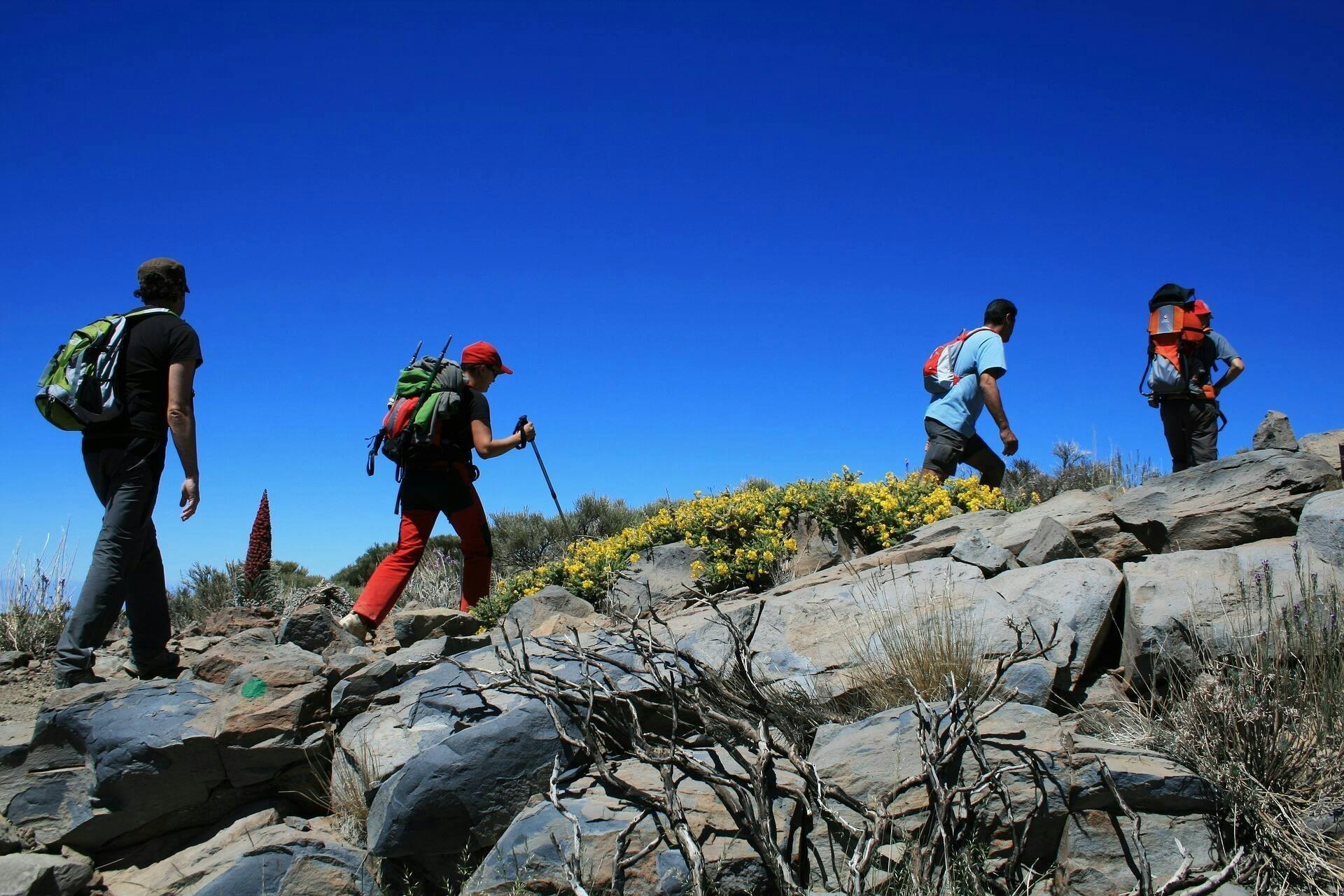 Randonnée pédestre facile au mont Teide