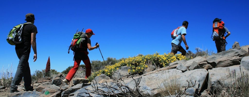 Randonnée pédestre facile au mont Teide