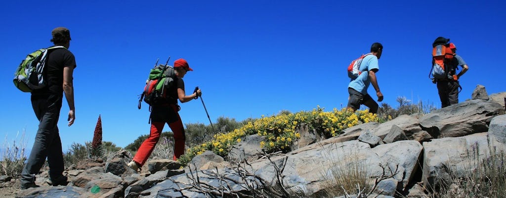 Łatwa wycieczka trekkingowa na górę Teide