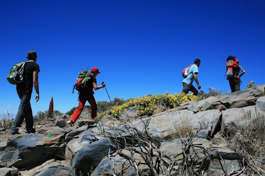 Łatwa wycieczka trekkingowa na górę Teide