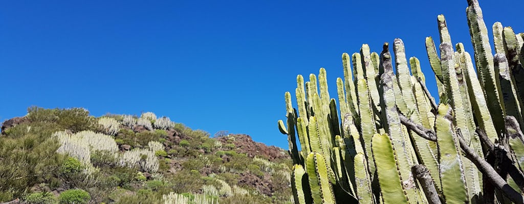 Wycieczka piesza po Parku Narodowym Teide z Garachico i Masca