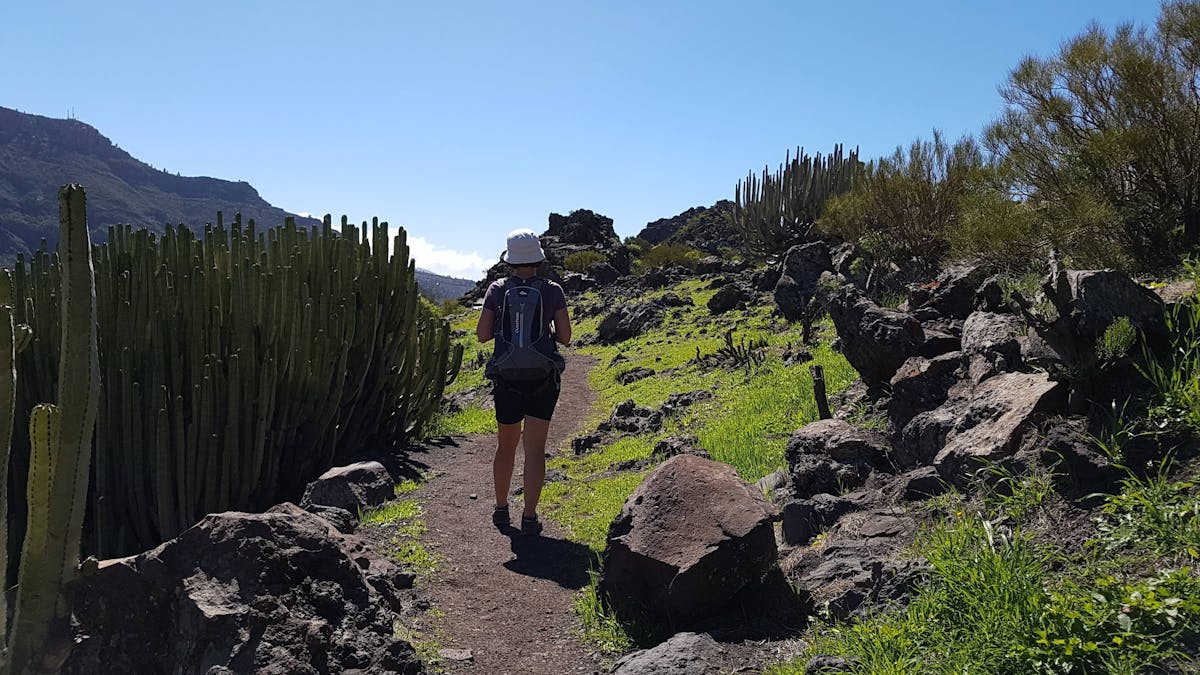 Teno-Teide Discovery Walks Tour