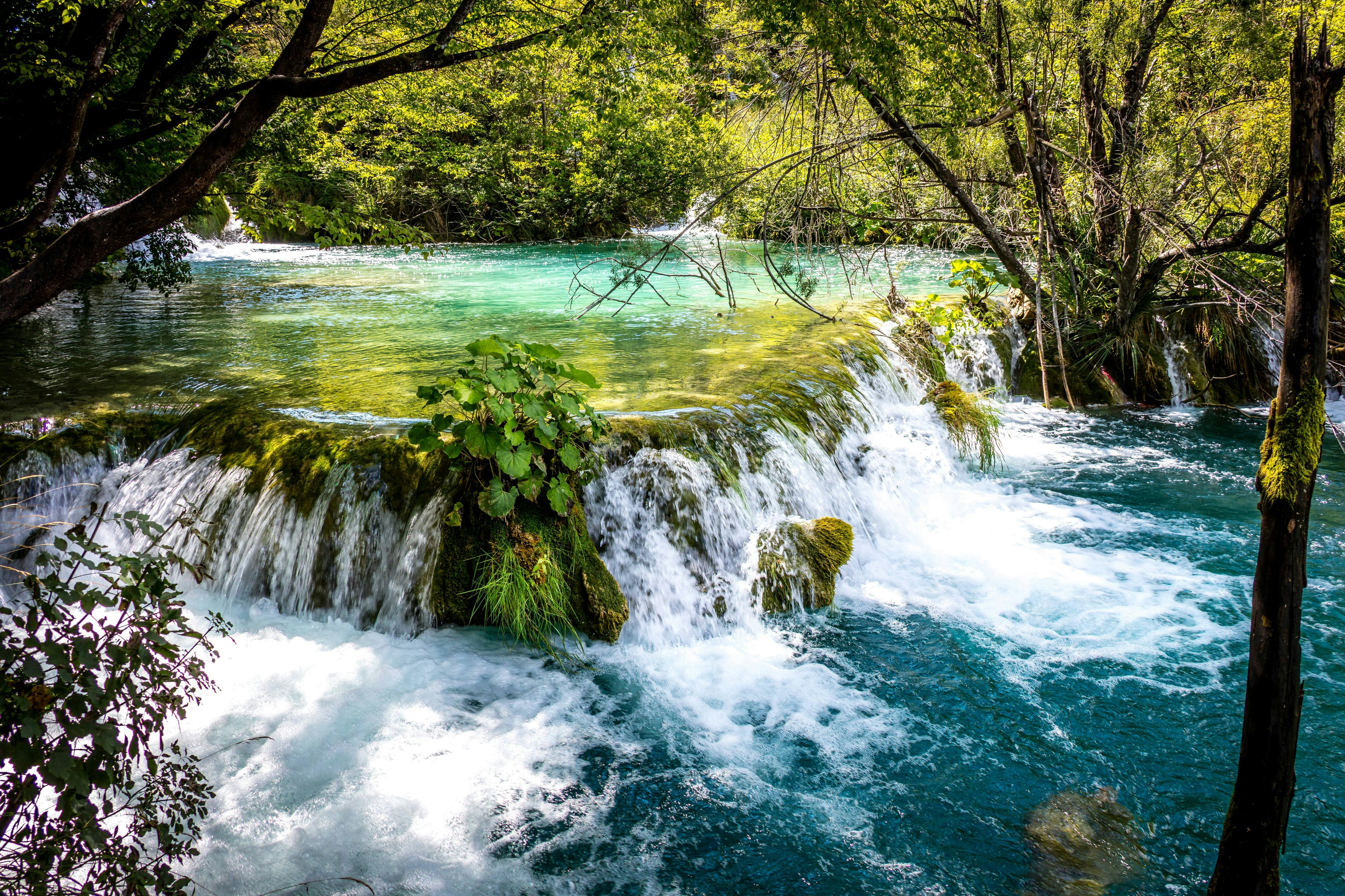 Maravillas naturales de los lagos de Plitvice