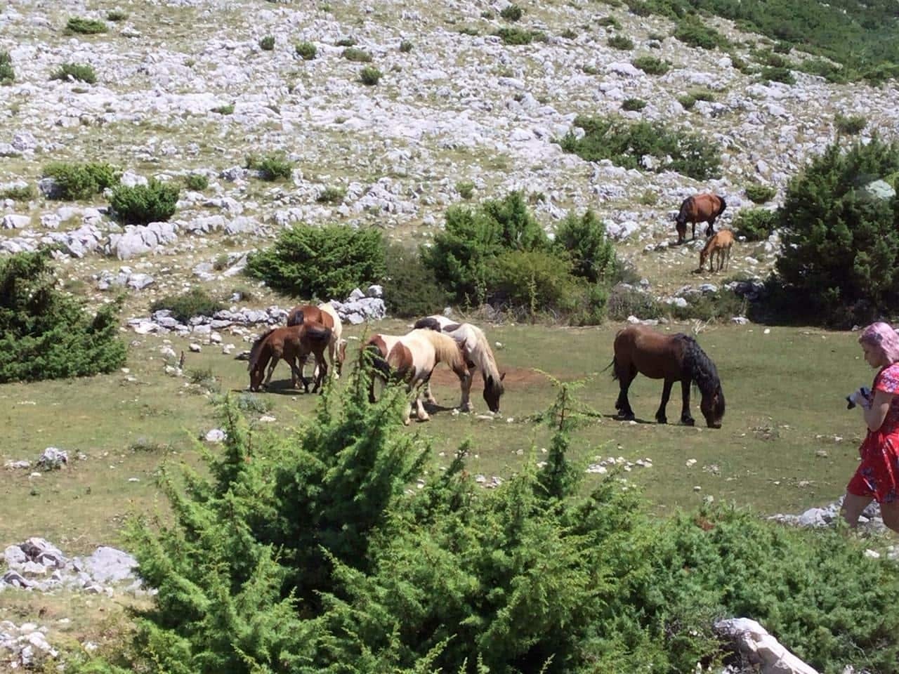 Biokovo 4x4 Tour