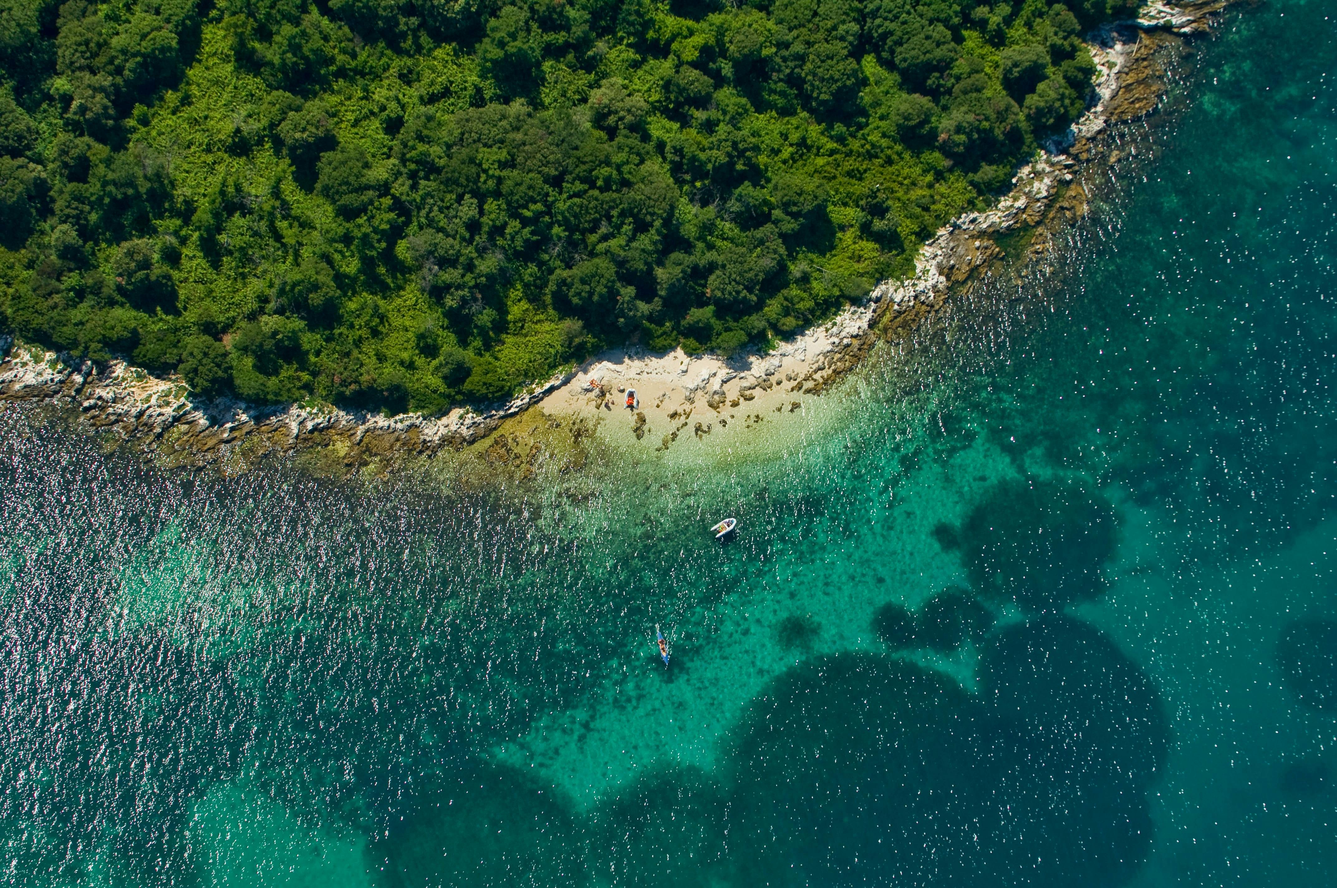 Istrian Coast Boat Cruise with BBQ from Poreč