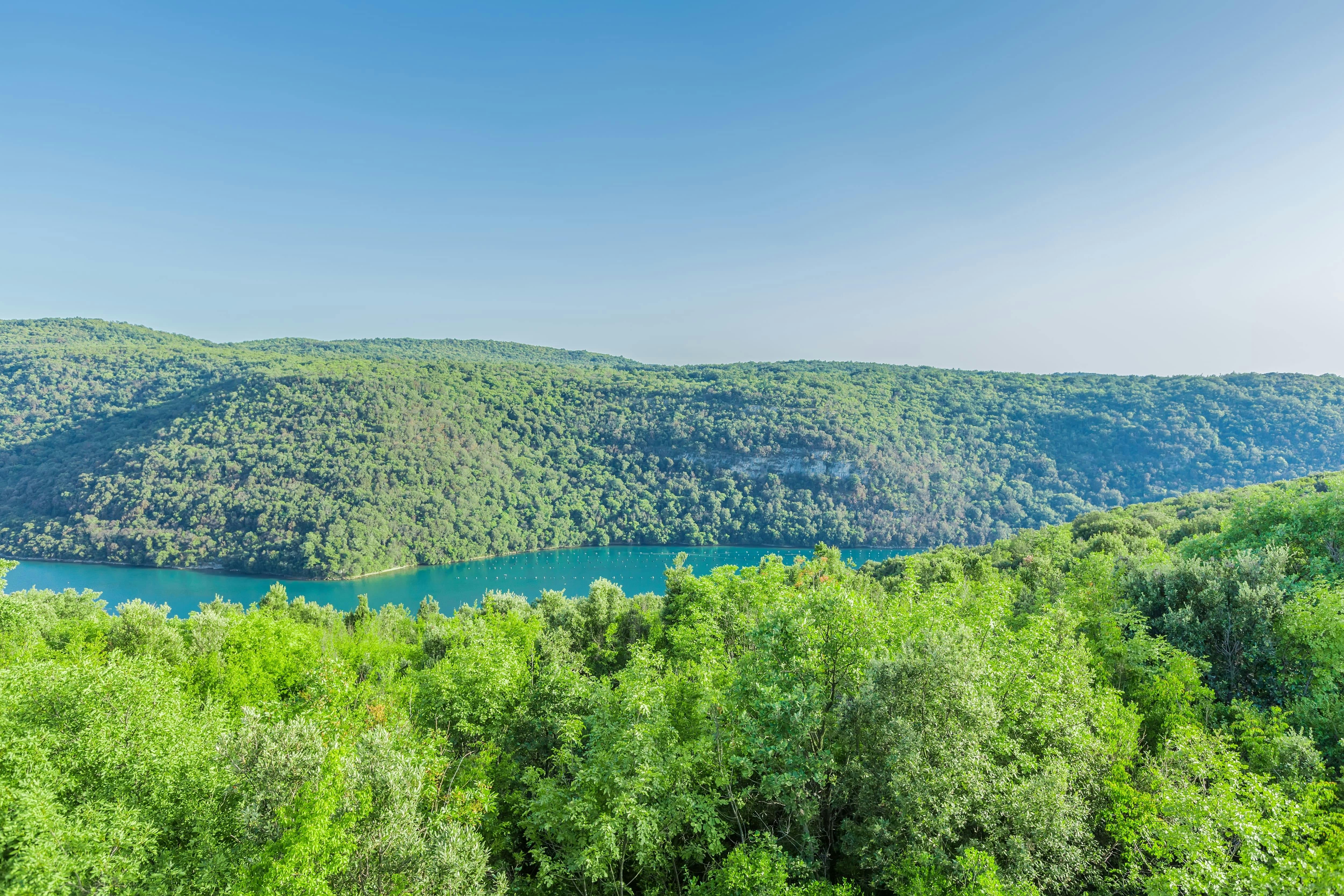 Istrian Coast Boat Cruise with BBQ from Poreč