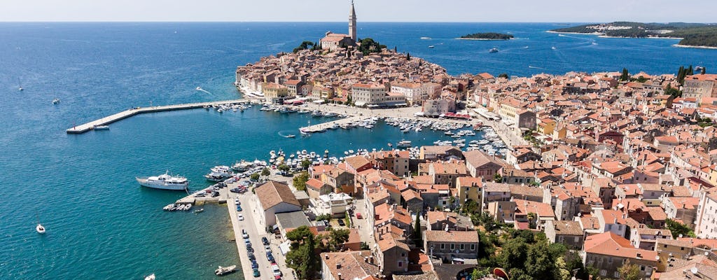 Istrian Coast Boat Cruise with BBQ from Poreč