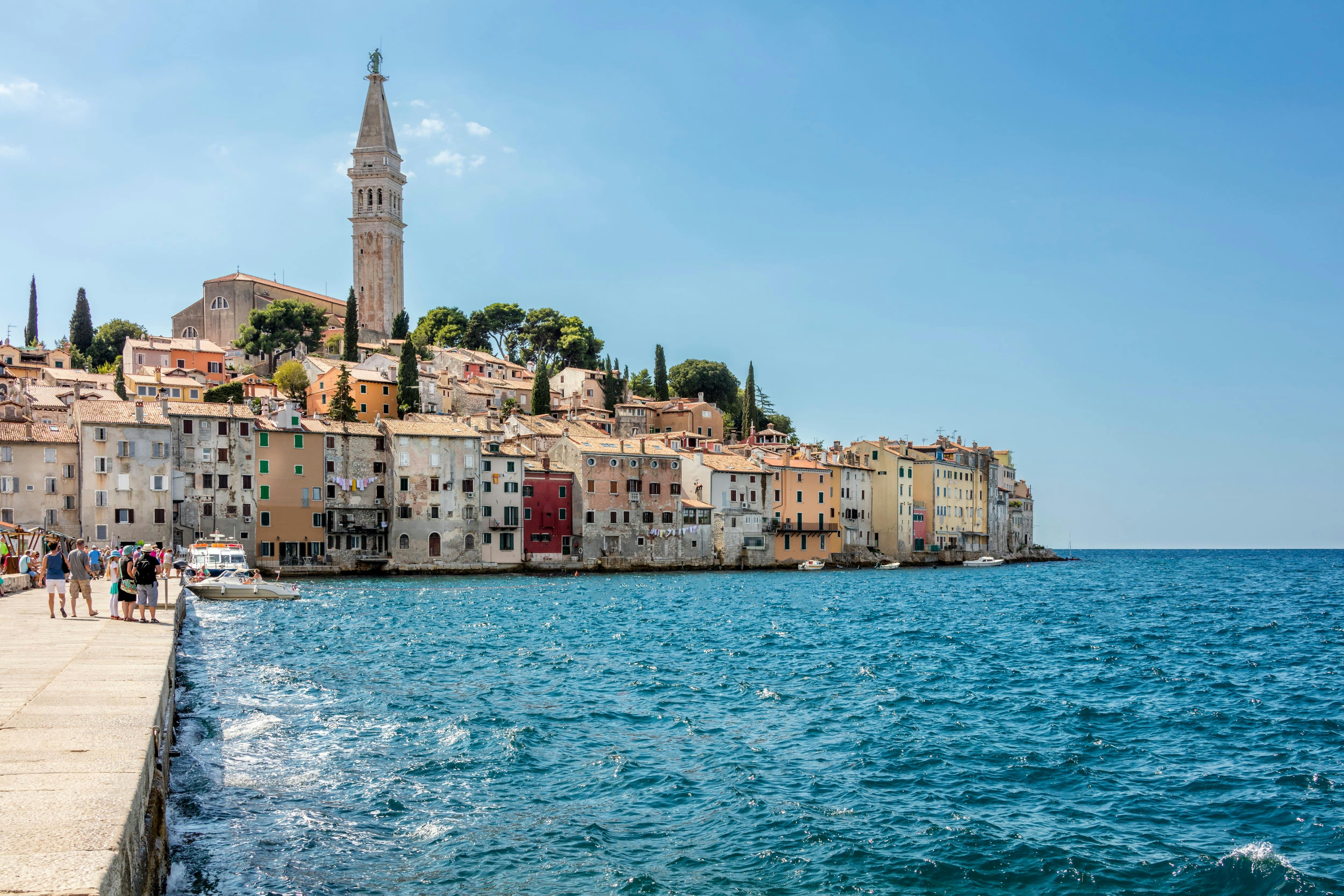 Istrian Coast Boat Cruise with BBQ from Poreč