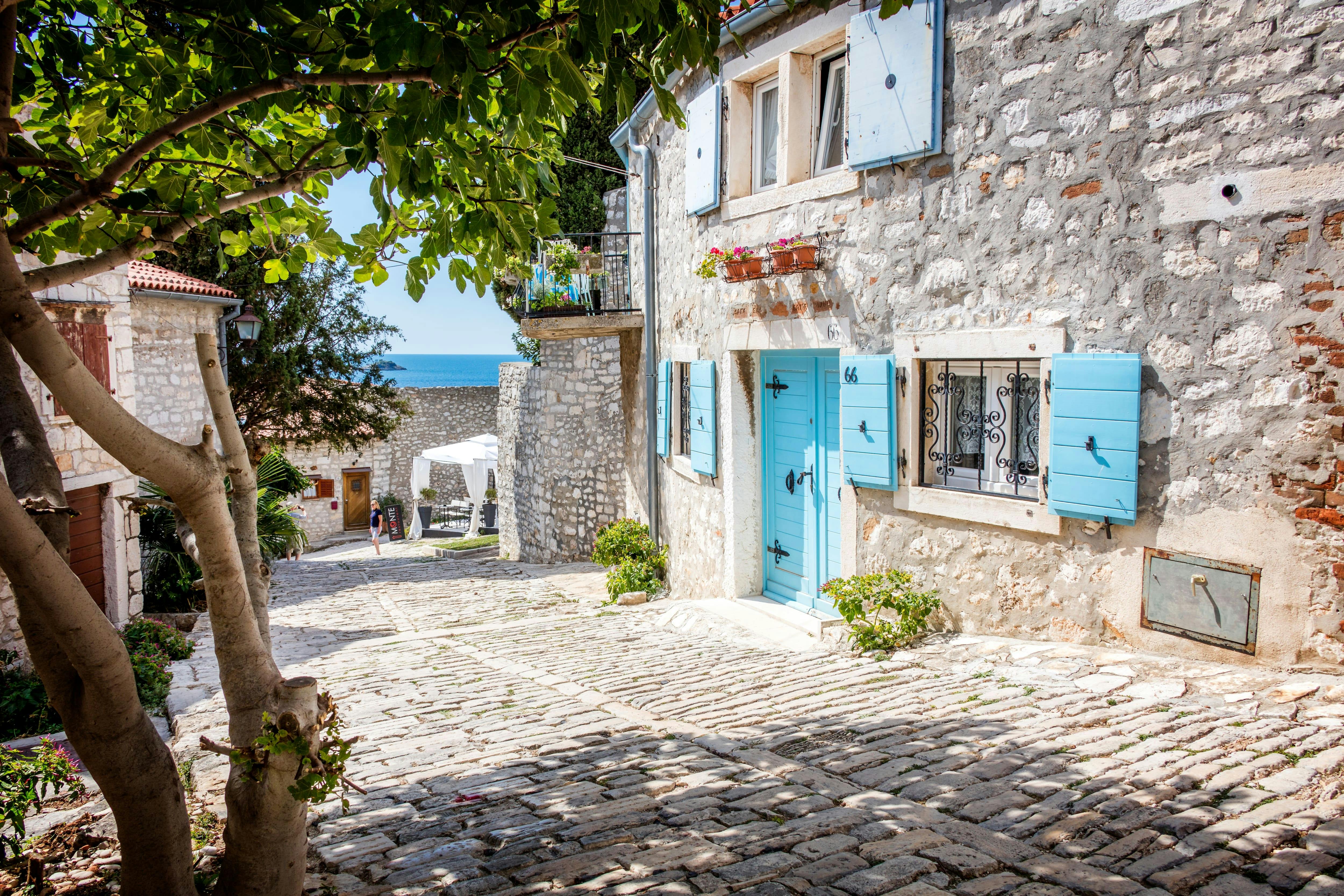 Istrian Coast Boat Cruise with BBQ from Poreč