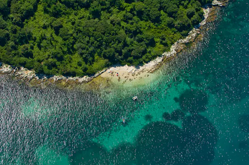 Istrian Coast Boat Cruise with BBQ from Poreč
