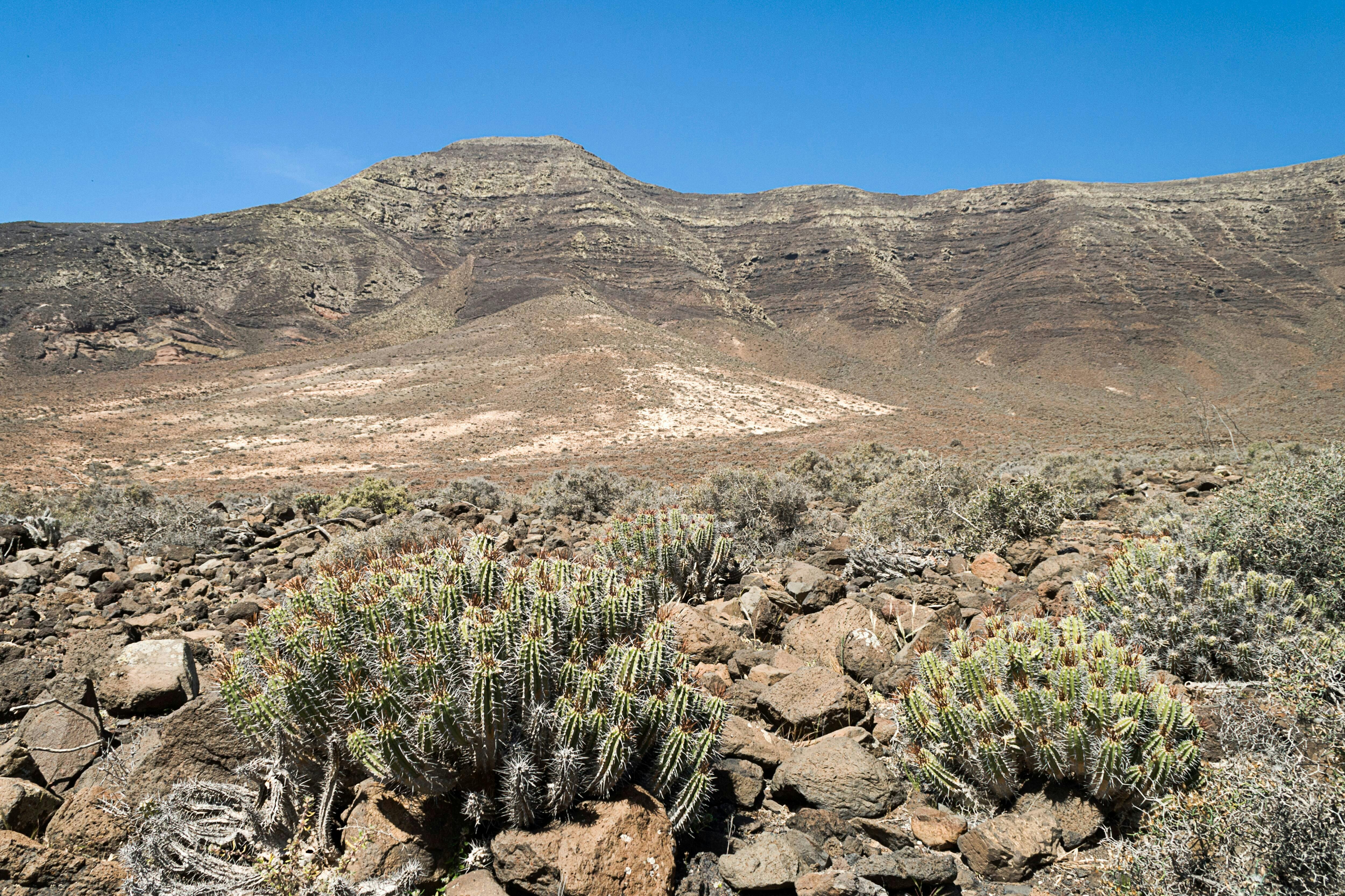 Pico de la Zarza Walking Tour in Fuerteventura