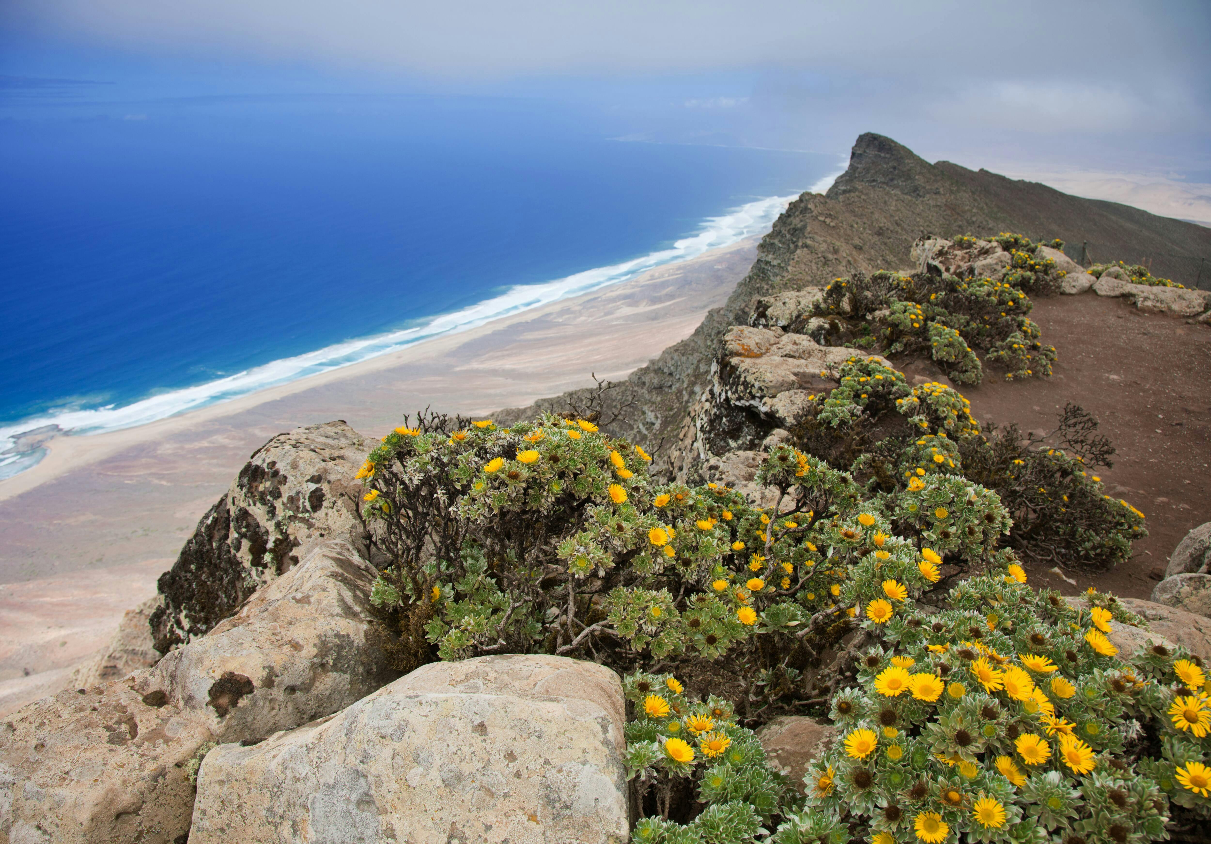 Pico de la Zarza Walking Tour in Fuerteventura