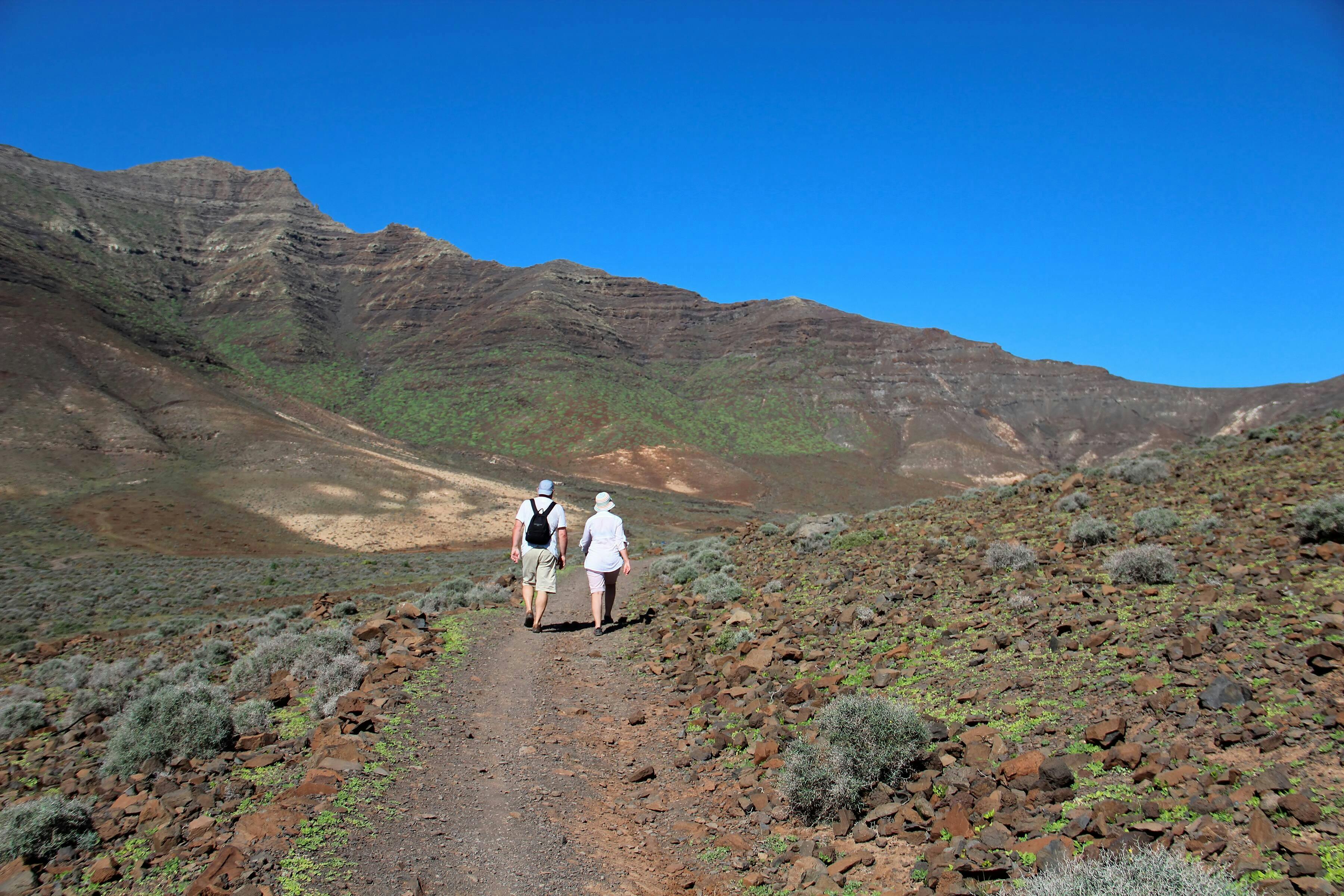 Pico de la Zarza Walking Tour in Fuerteventura