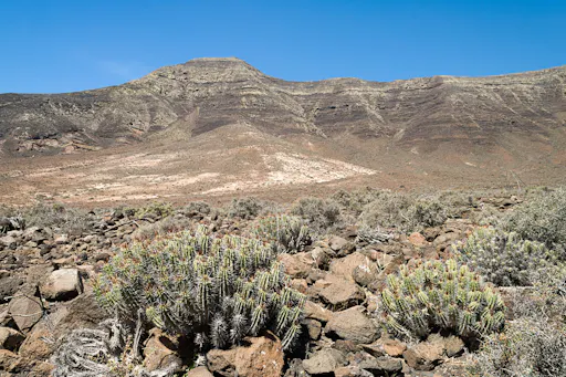 Pico de la Zarza Walking Tour in Fuerteventura