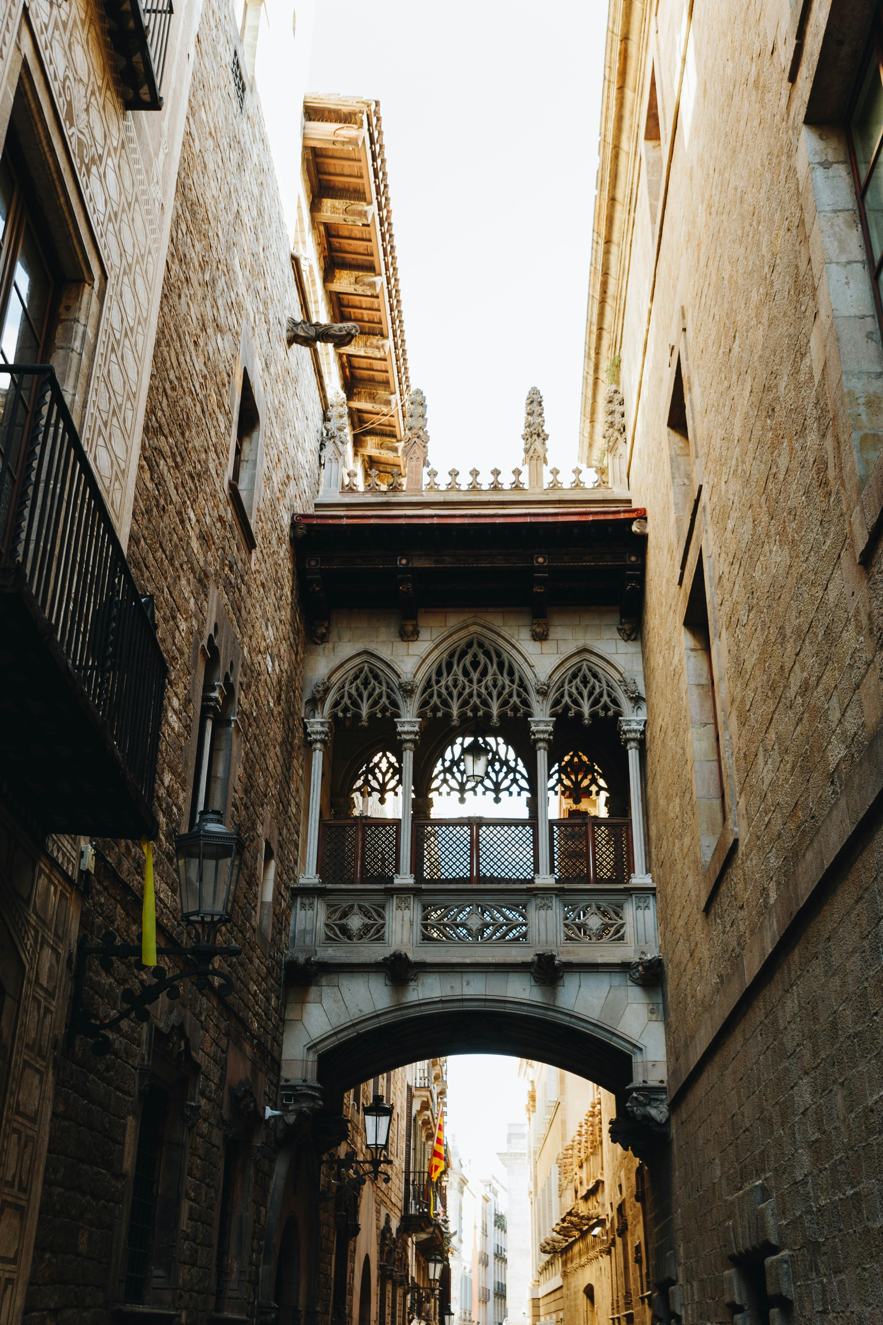 Gothic Quarter street art tour with a Local in Barcelona Musement