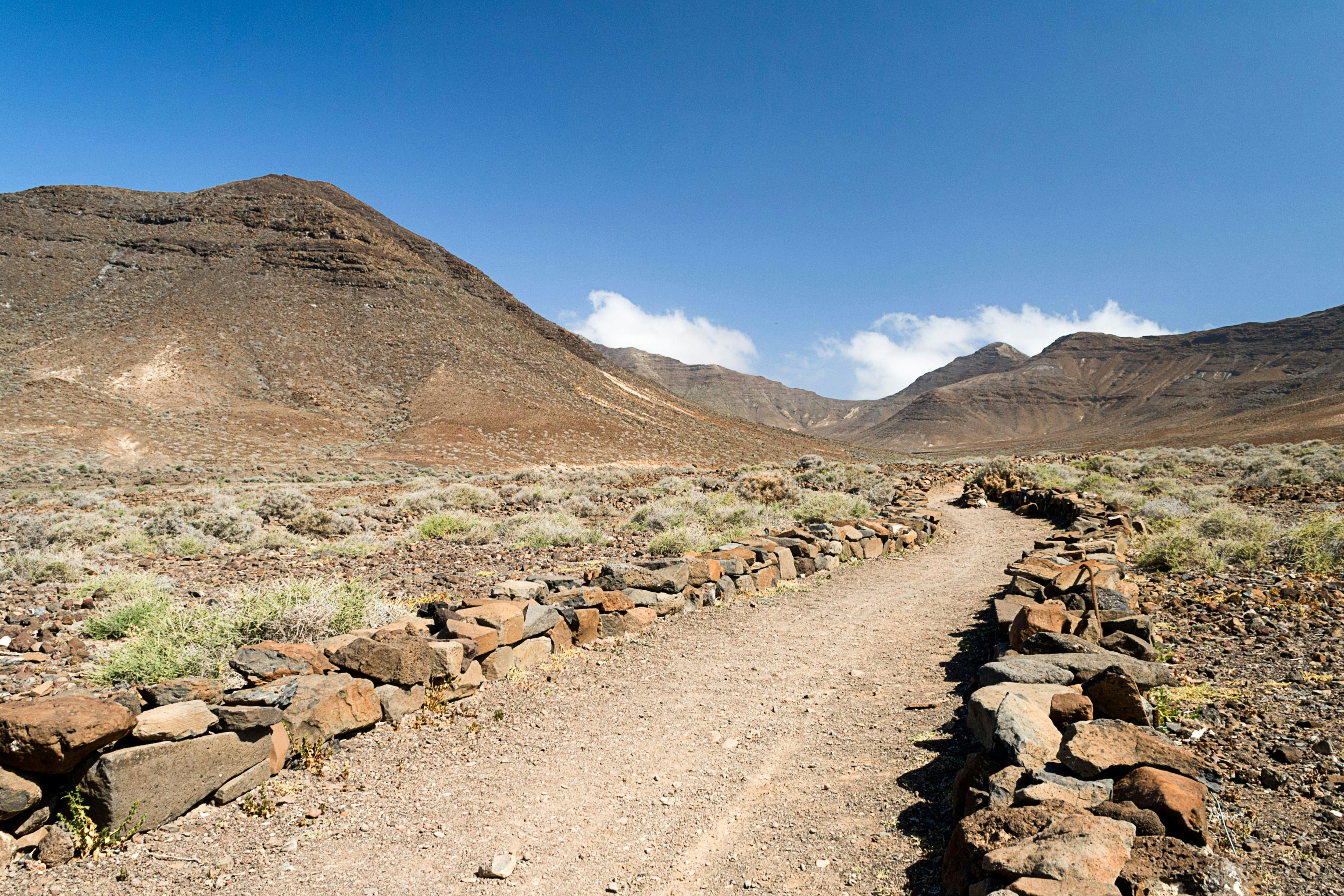 Pico de la Zarza Walking Tour in Fuerteventura