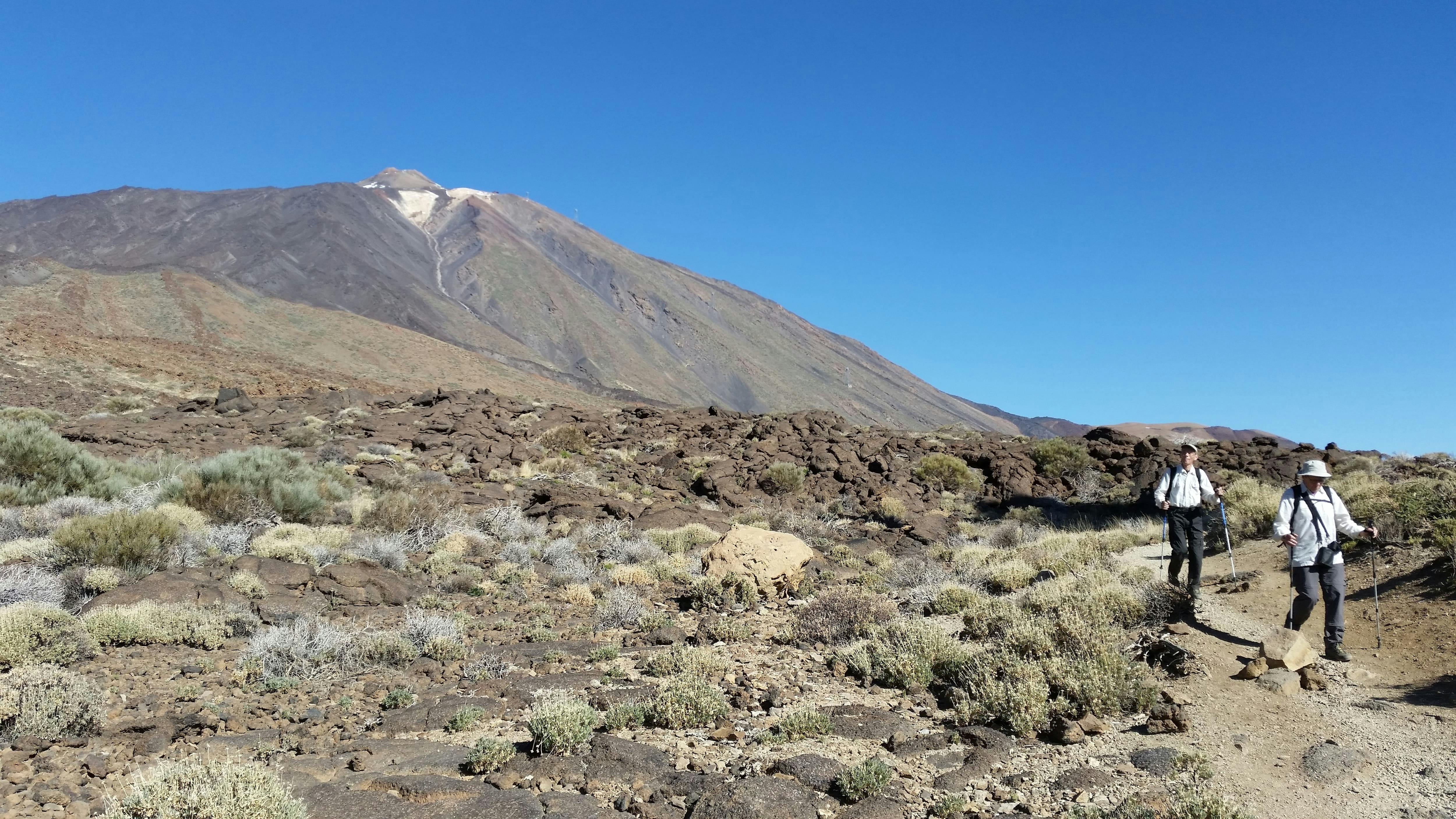 Mount Teide Easy Hiking Tour