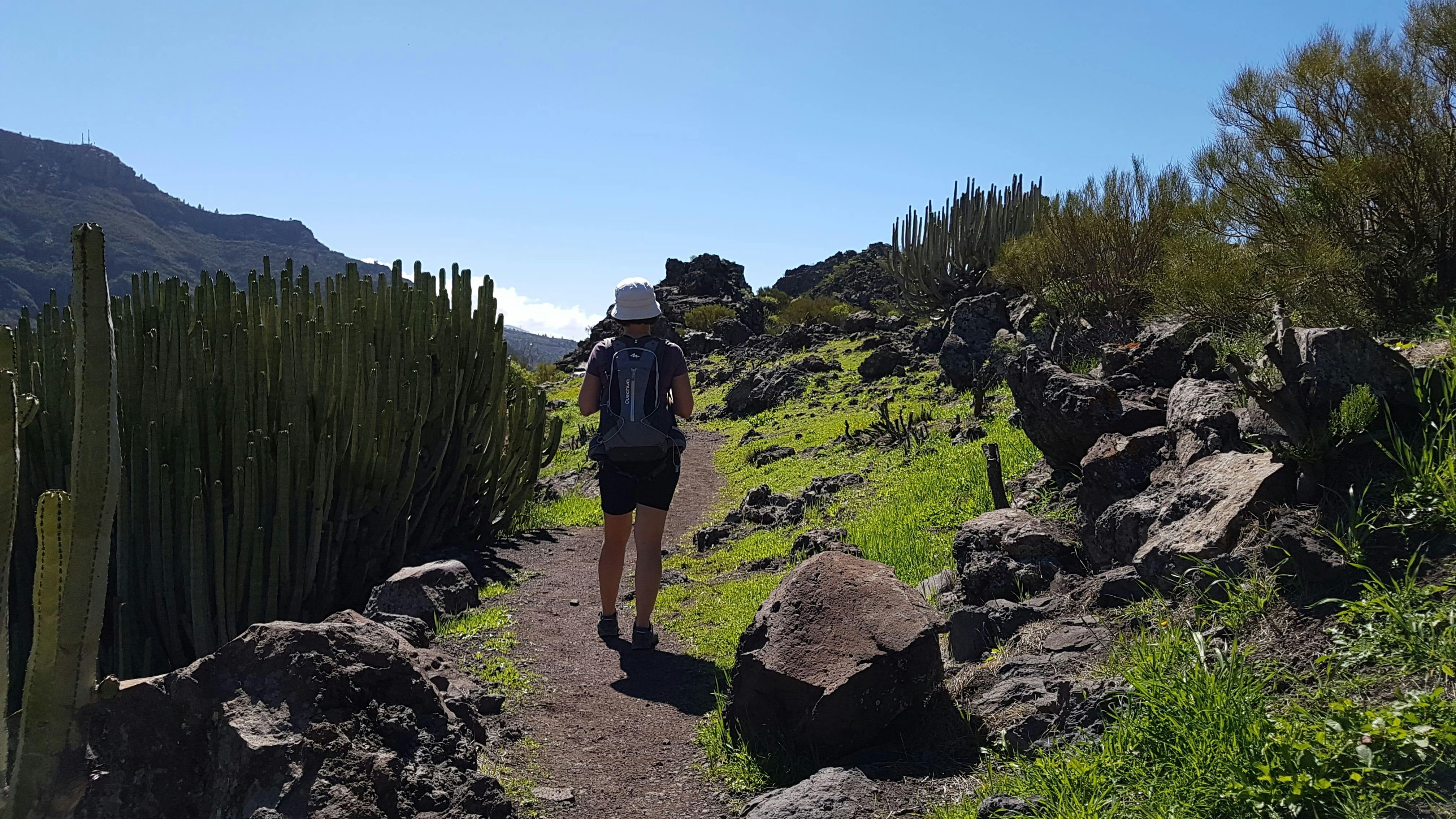 Teno-Teide Discovery Walks Tour