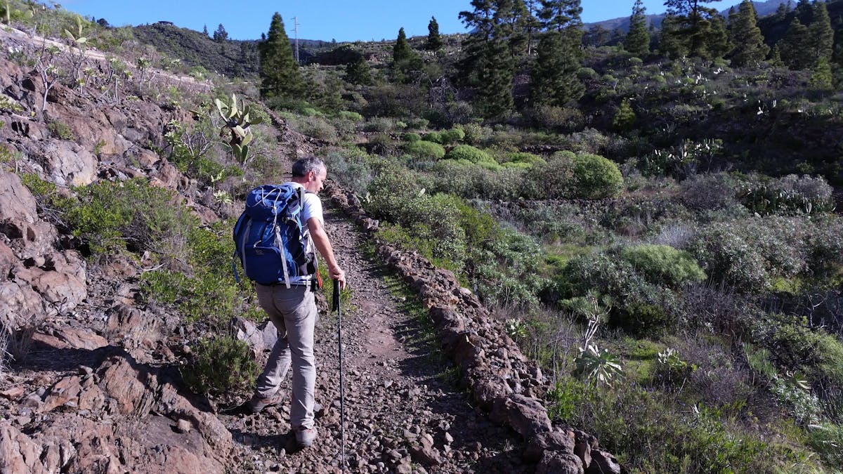 Tenerife Canarian Villages Hiking Tour
