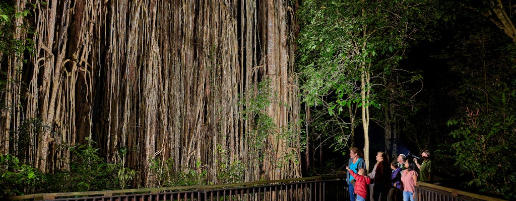 Tour della foresta pluviale e della fauna selvatica notturna da Cairns