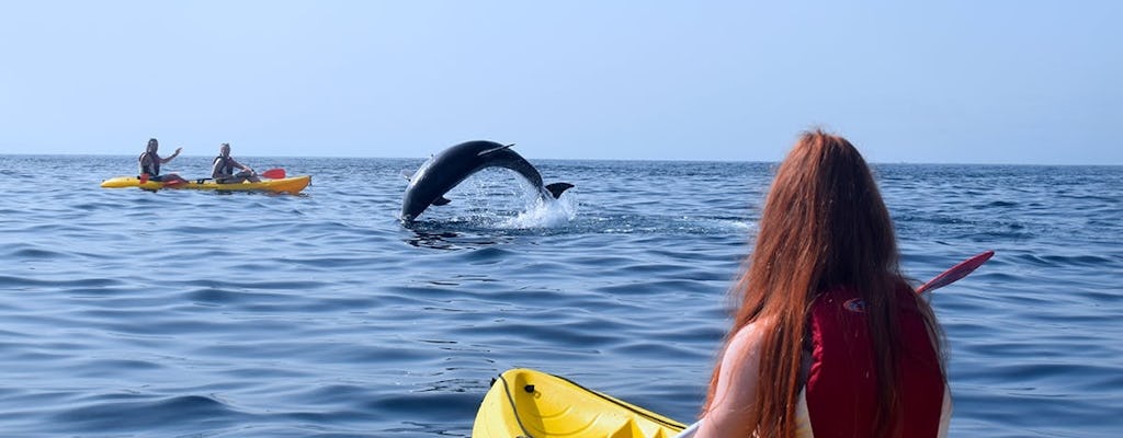 Excursion de kayak et de plongée avec tuba à Tenerife