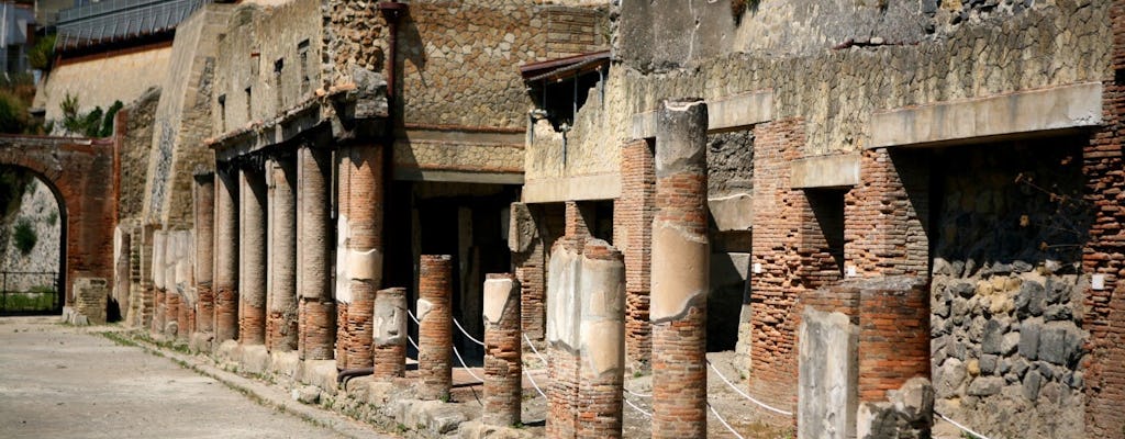 Tour privato di Ercolano di 2 ore