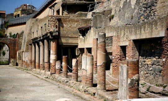 Herculaneum 2-stündige private Tour
