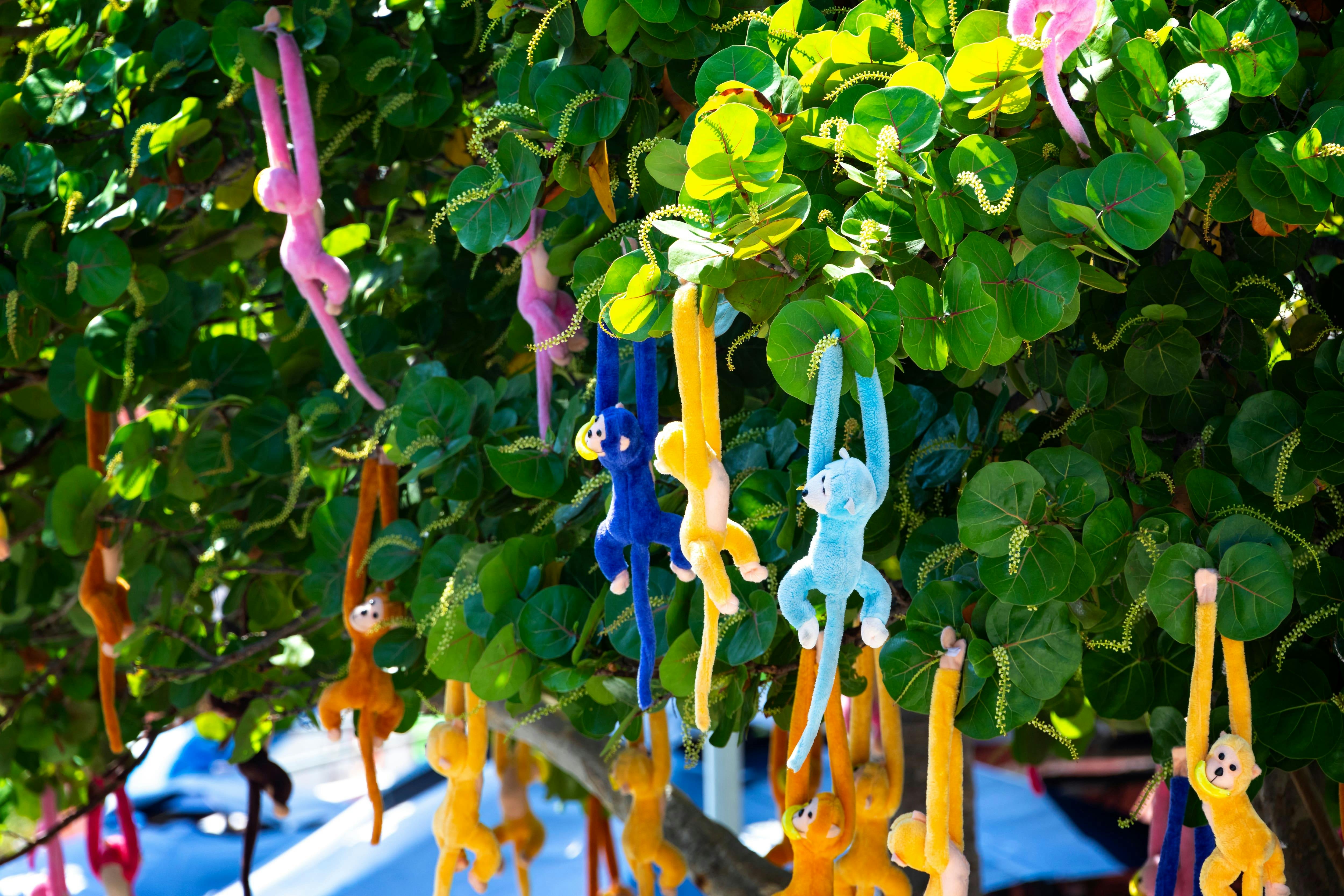 Isla Mujeres Sailing for Adults