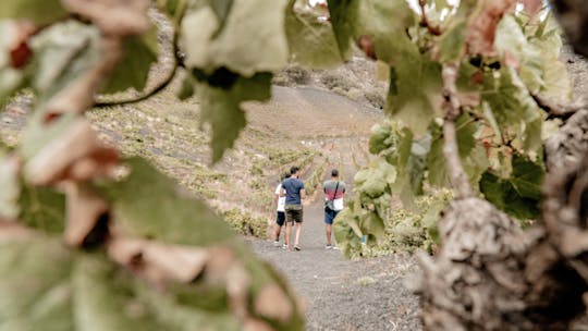 Wycieczka w małej grupie po wyspie Gran Canaria z lunchem KM 0