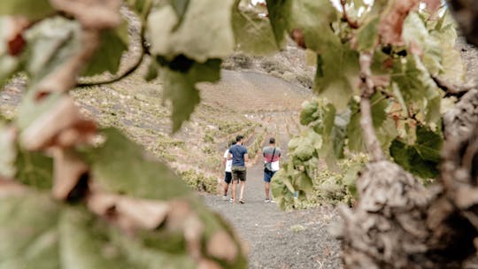 Rundtur på Gran Canaria i lille gruppe med bæredygtig frokost