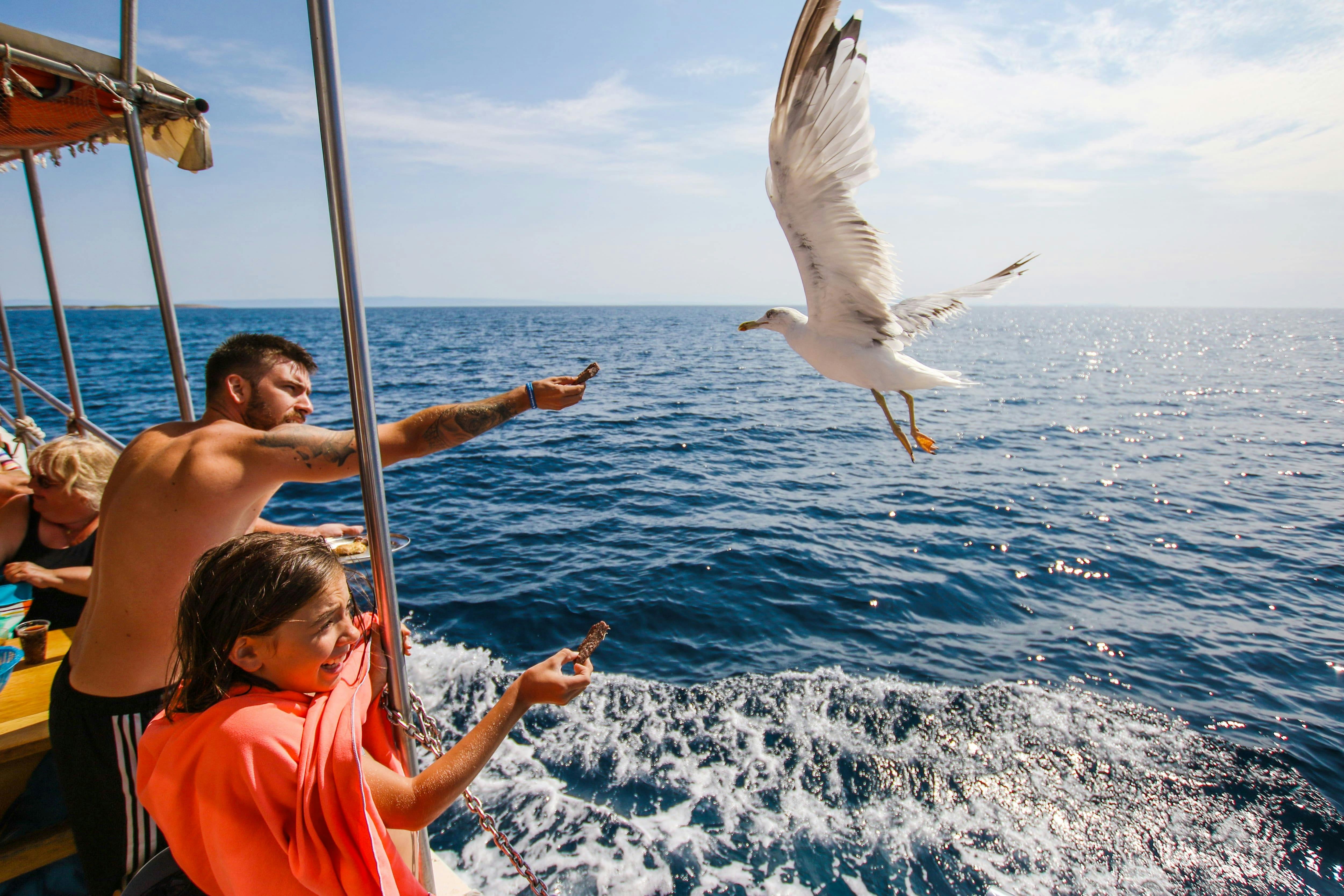 BBQ Catamaran Cruise from Medulin Tajana